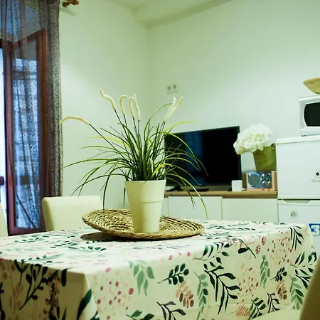 Apartman Flower Apartment