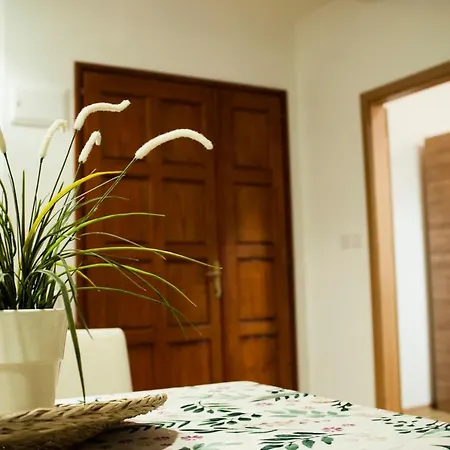 Apartman Flower Apartment Sibenik